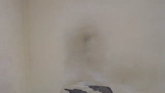 AlexNudo online show from December 31, 2024, 12:46 pm