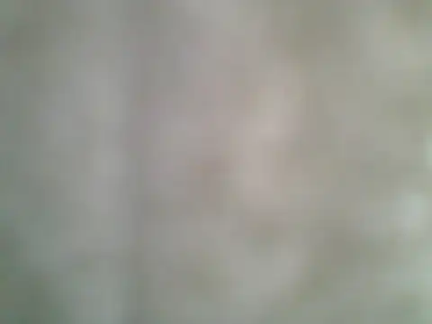 kavipanty online show from December 5, 2025, 6:44 am