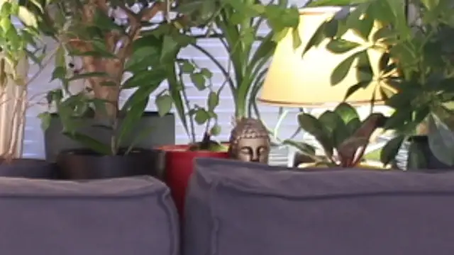 Lily minx online show from November 13, 2025, 3:38 am