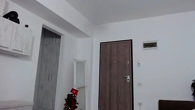 Snapshot of _DylanGreen chatting on December 27, 2024, 8:56 am DylanGreen online show from December 27, 2024, 8:56 am