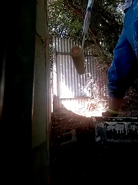 wilfukany1 online show from February 24, 2025, 11:30 pm