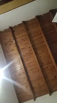 ZaraHoney online show from October 28, 2025, 5:11 am