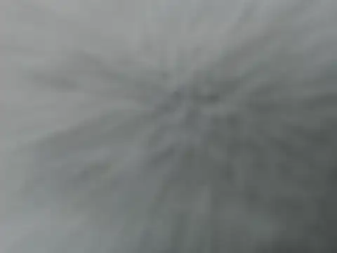 Lauren baby online show from December 16, 2025, 11:21 pm