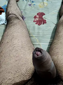 Snapshot of vishnuvinod_india chatting on November 15, 2025, 2:13 pm vishnuvinod india online show from November 15, 2025, 2:13 pm