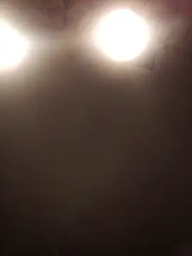 lilianashemale online show from November 1, 2025, 3:08 am