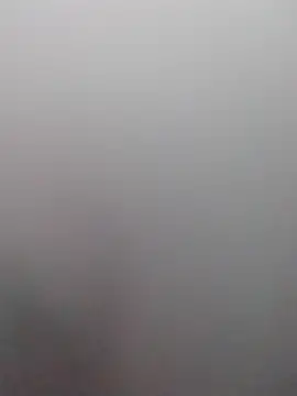 Yankeedave420 online show from October 24, 2025, 4:58 pm