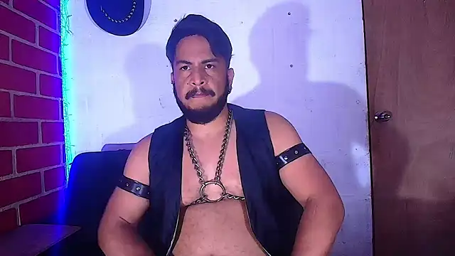 the master foal  online show from February 8, 2025, 5:29 am