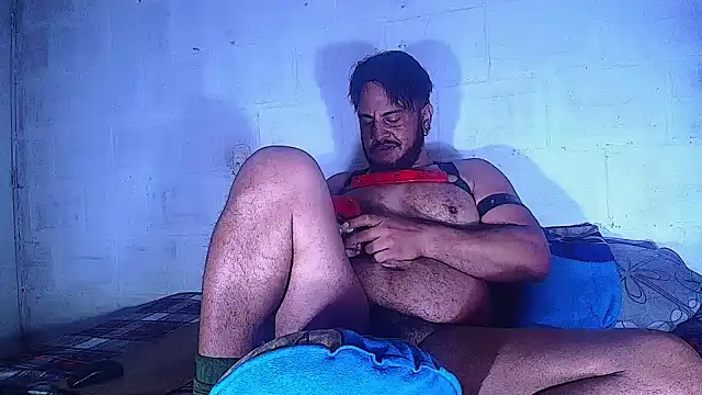 the master foal  online show from March 12, 2025, 10:48 am