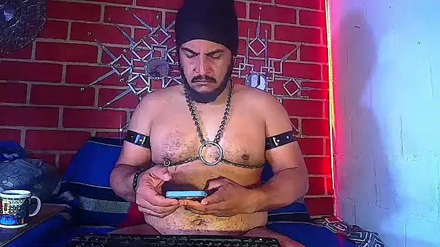 the master foal  online show from March 19, 2025, 12:12 pm