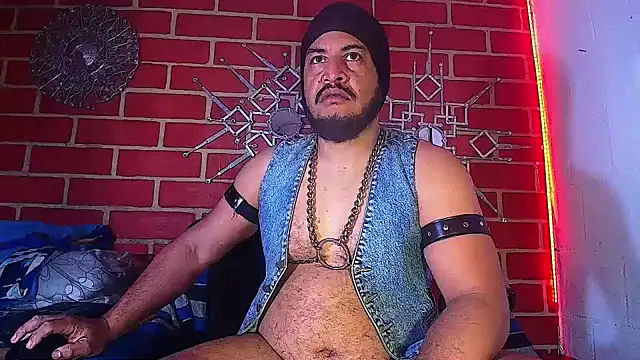 the master foal  online show from March 20, 2025, 11:49 am