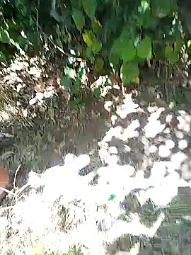 Snapshot of mariamac420 chatting on January 18, 2026, 6:01 pm mariamac420 online show from January 18, 2026, 6:01 pm