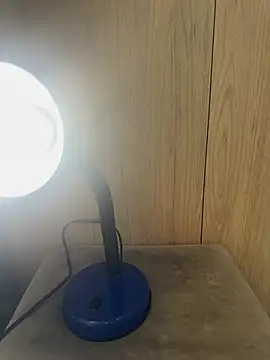 Snapshot of lau_ass_goddess chatting on February 22, 2025, 12:19 pm lau ass goddess online show from February 22, 2025, 12:19 pm