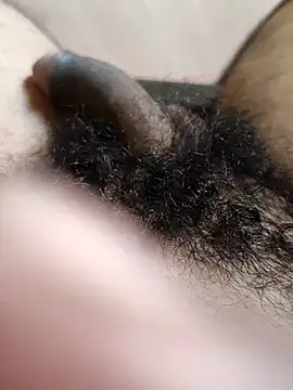 Snapshot of Honestguy100 chatting on November 8, 2025, 5:29 am Honestguy100 online show from November 8, 2025, 5:29 am