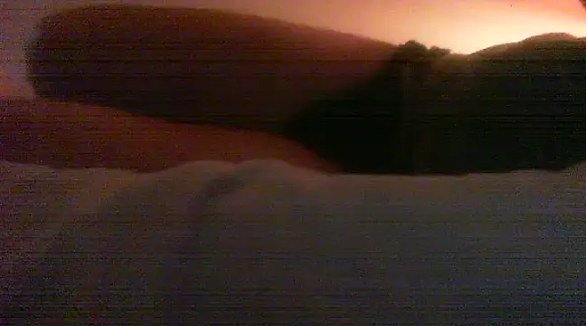 patrasdick94 online show from February 13, 2025, 3:03 pm