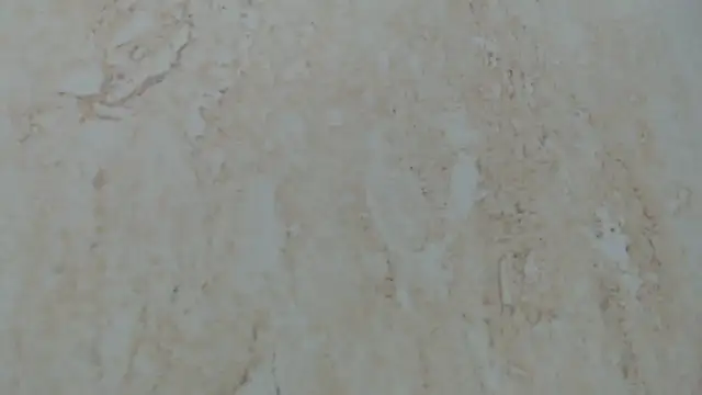 Snapshot of Crazy_team_ chatting on January 8, 2025, 2:25 am Crazy team online show from January 8, 2025, 2:25 am