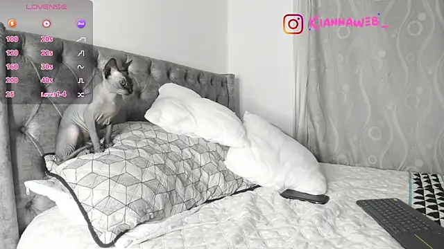 Kianna   online show from January 6, 2025, 1:53 am