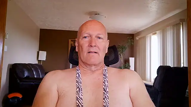 BasicAnt online show from June 3, 2026, 2:33 pm