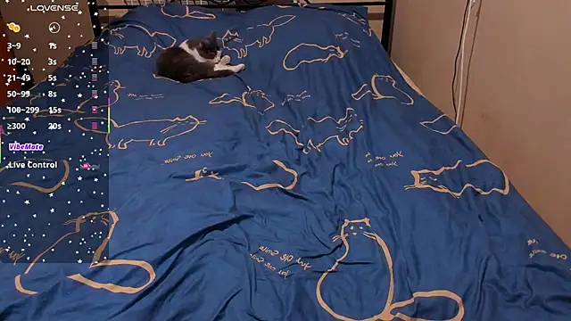 Snapshot of eva_zero chatting on February 27, 2026, 2:28 pm eva zero online show from February 27, 2026, 2:28 pm