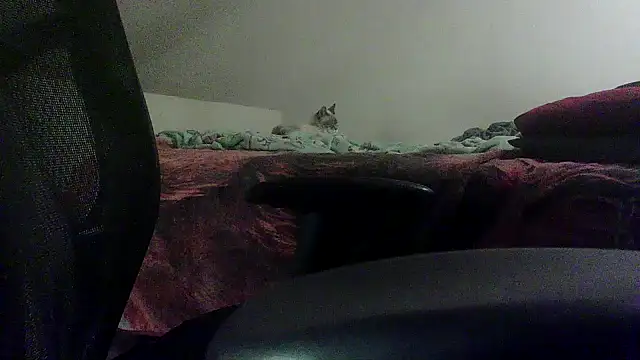 OralDesires2 online show from February 19, 2025, 11:46 pm