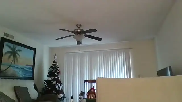 Snapshot of EvaRobinson chatting on December 18, 2024, 5:31 pm EvaRobinson online show from December 18, 2024, 5:31 pm