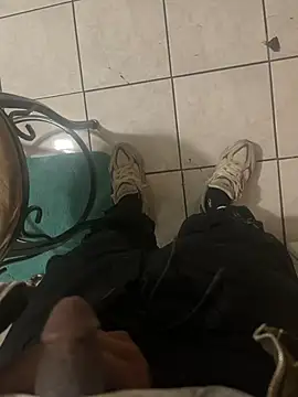 Snapshot of dingoding chatting on January 12, 2025, 6:28 am dingoding online show from January 12, 2025, 6:28 am