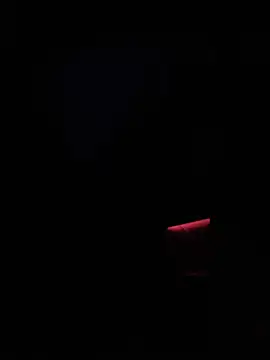 Snapshot of dingoding chatting on January 14, 2025, 2:50 am dingoding online show from January 14, 2025, 2:50 am