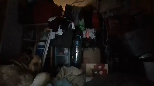 brandonontop online show from February 11, 2026, 3:00 am
