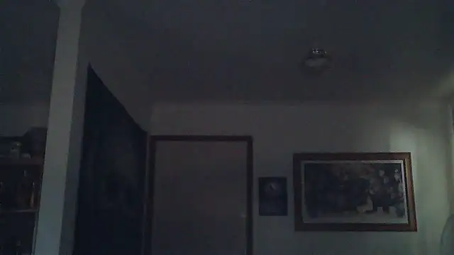 Snapshot of HOTANAL chatting on March 11, 2025, 1:16 am HOTANAL online show from March 11, 2025, 1:16 am