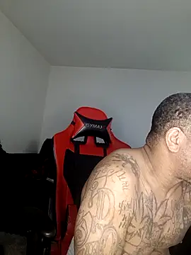 Snapshot of yellowwetfox chatting on February 13, 2026, 3:08 pm yellowwetfox online show from February 13, 2026, 3:08 pm