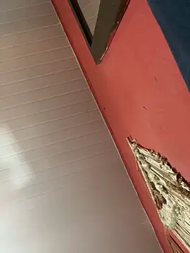 Snapshot of pimenta_gaby chatting on October 18, 2025, 1:01 pm pimenta gaby online show from October 18, 2025, 1:01 pm