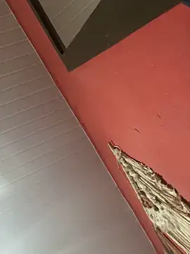 Snapshot of pimenta_gaby chatting on November 4, 2025, 11:09 am pimenta gaby online show from November 4, 2025, 11:09 am