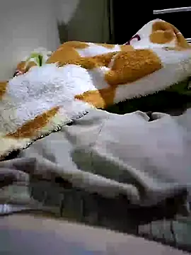 shiiank online show from May 27, 2026, 3:14 am