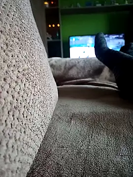 Snapshot of vena4 chatting on February 14, 2026, 8:55 am vena4 online show from February 14, 2026, 8:55 am