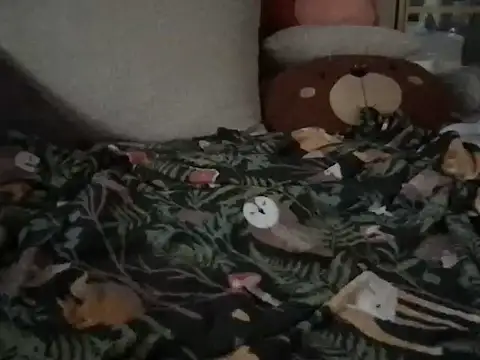 Perwers 41 online show from November 2, 2025, 2:19 pm