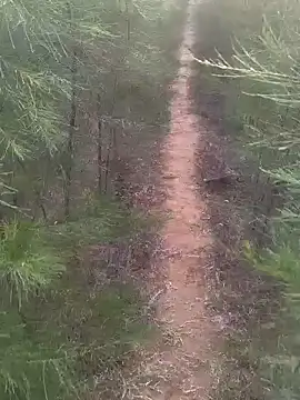 Gopal1243 online show from February 17, 2025, 1:47 am