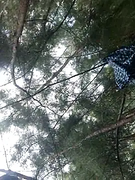 Gopal1243 online show from September 28, 2025, 6:19 am