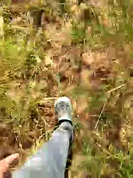 Gopal1243 online show from January 7, 2026, 7:55 am