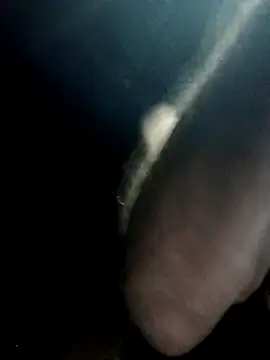 strollnrg069 online show from February 12, 2025, 12:55 pm