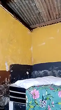 LULE37587001 online show from March 6, 2026, 1:18 pm