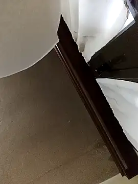 Snapshot of White_rabbit_ chatting on December 11, 2024, 4:53 pm White rabbit online show from December 11, 2024, 4:53 pm