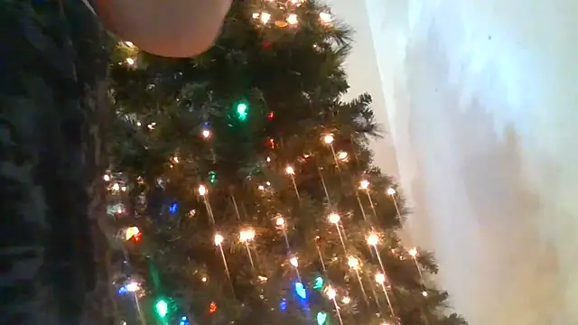 Snapshot of Hornybbw1978 chatting on December 30, 2024, 11:38 pm Hornybbw1978 online show from December 30, 2024, 11:38 pm