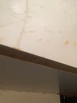 Snapshot of foxiks chatting on April 9, 2026, 11:37 am foxiks online show from April 9, 2026, 11:37 am