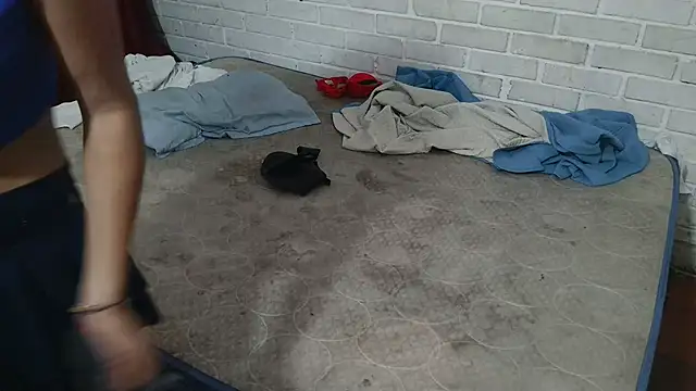 valeriaswang Lucas online show from November 25, 2025, 4:18 pm