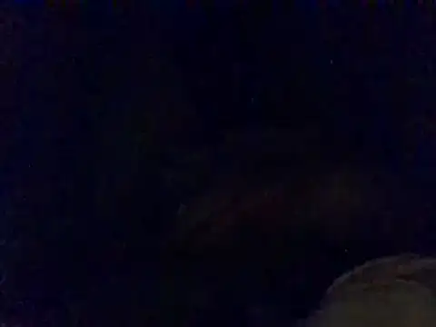 Snapshot of pritamkr69 chatting on December 30, 2024, 5:44 pm pritamkr69 online show from December 30, 2024, 5:44 pm