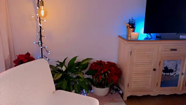 Snapshot of anabelcurvy chatting on December 8, 2024, 4:07 pm anabelcurvy online show from December 8, 2024, 4:07 pm