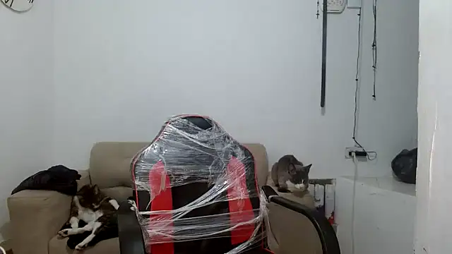 Snapshot of angelamarie1 chatting on September 29, 2025, 11:04 am angelamarie1 online show from September 29, 2025, 11:04 am