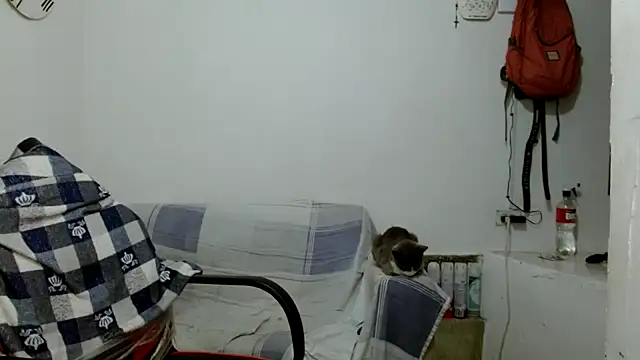 Snapshot of angelamarie1 chatting on October 18, 2025, 12:06 pm angelamarie1 online show from October 18, 2025, 12:06 pm