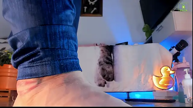 Snapshot of miaa-lee chatting on October 23, 2025, 4:28 pm miaa-lee online show from October 23, 2025, 4:28 pm