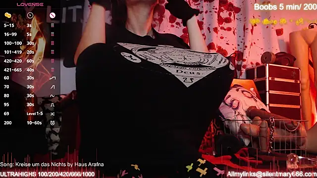 Silentmary online show from October 27, 2025, 9:02 am