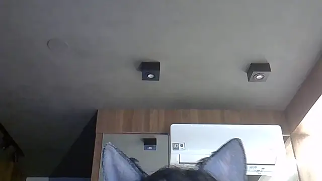 Skinny-Kitten online show from October 31, 2025, 9:21 am